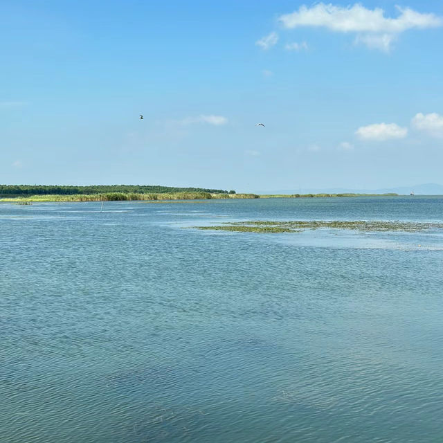 聖淘沙海灘：熱帶風情，海濱放鬆，黃昏欣賞夕陽