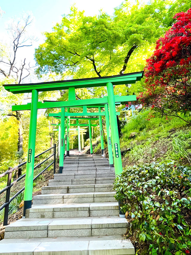 【足利織姫神社/栃木県】縁結びの神様と絶景の眺望