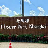 Hokkaido Flower Park Khaoyai 🌹💐🪷