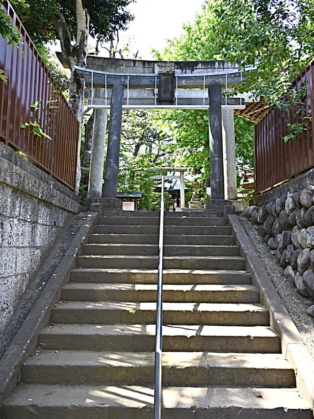 【上高田氷川神社/東京都】多様な古木に囲まれた神社