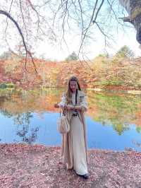 軽井沢紅葉のリフレクション！雲場池
