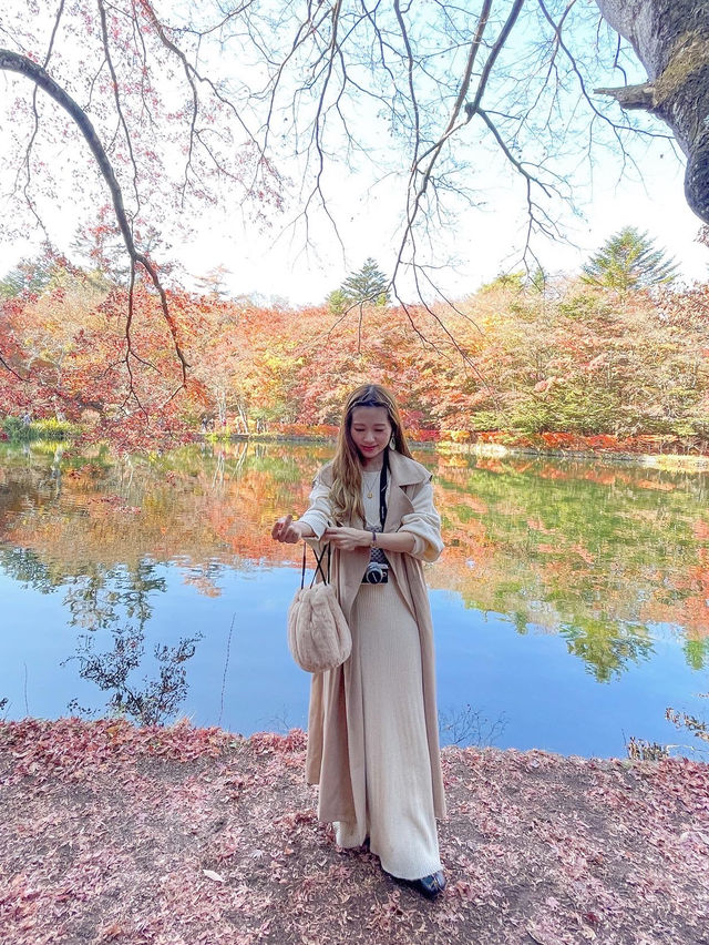 軽井沢紅葉のリフレクション！雲場池