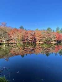 軽井沢紅葉のリフレクション！雲場池