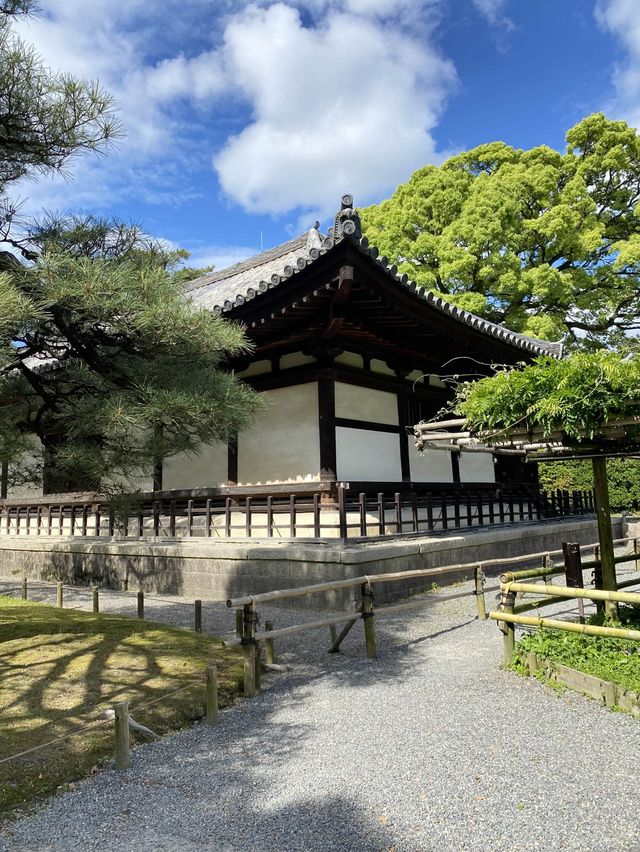 【京都】さすが世界遺産の平等院