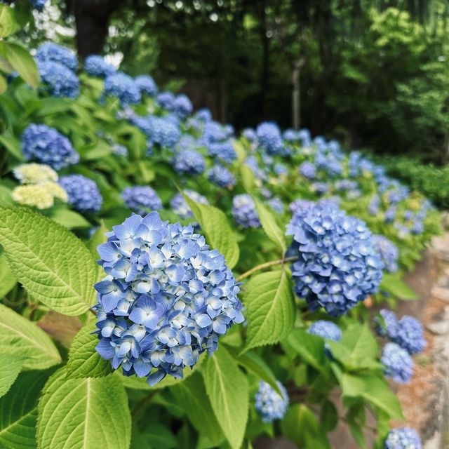 鶴舞公園