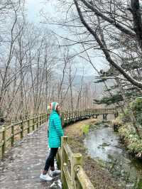 เดินเทรลในป่าสุดโรแมนติกที่ Kamikochi🌿❄️