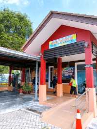 Hawksbill Turtles Conservation Efforts