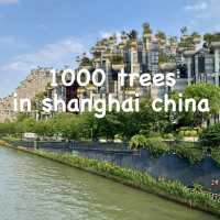 Tian An 1000 Trees in Shanghai China