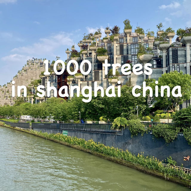 Tian An 1000 Trees in Shanghai China