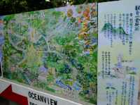【東京近郊】‼️繡球花5月29日盛開見頃活動開始‼️@鎌倉長谷寺，六月必遊景點！