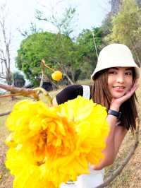 ตั้งแคมป์ นอนดูดาว ณ ผาชู้