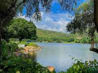 【2024春】迪欣湖：最靚舒服公園，交通方便