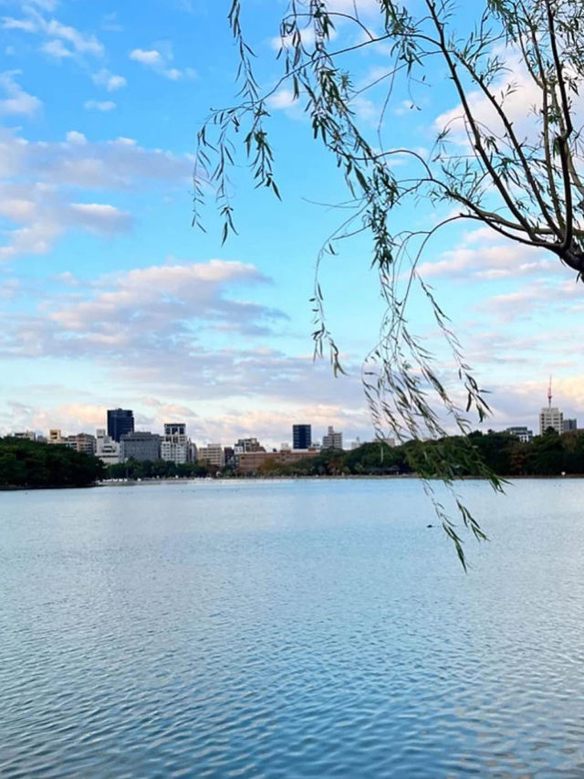 【福岡カフェ】美味しいワッフルを公園で食べられる