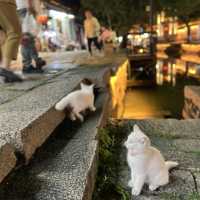 Night life at Tongli Ancient Town
