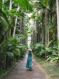 【沖縄｜沖縄市】女子旅にも子連れ旅にもおすすめ！東南植物園🌴
