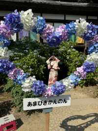 〜茨城県〜関東まだ間に合うあじさいスポット！ライトアップ情報も💡