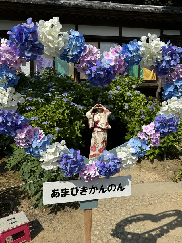 〜茨城県〜関東まだ間に合うあじさいスポット！ライトアップ情報も💡