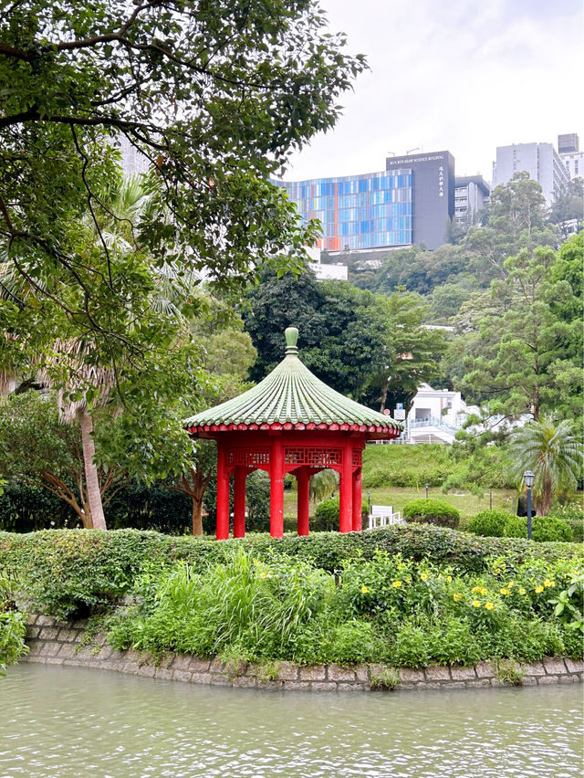 Exploring the Rich Heritage of The Chinese University of Hong Kong (CUHK)  