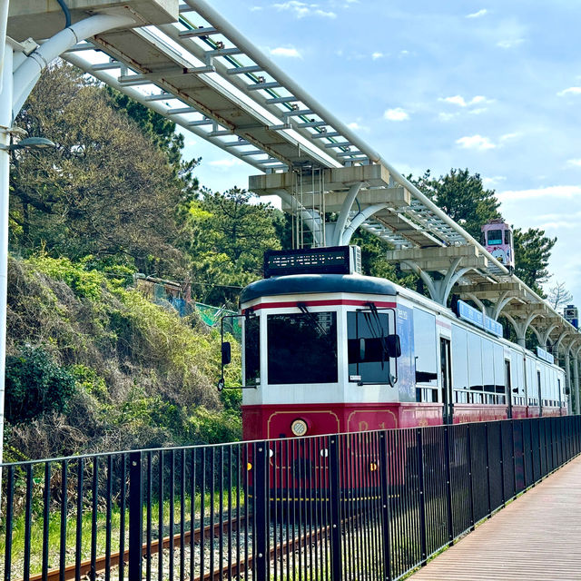 💙超美釜山海雲台天空膠囊列車🚡🌊私人包箱兼享超美海景體驗