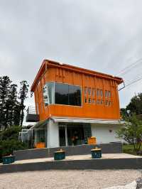 🍊제주 감성 물씬 풍기는 카페 더 콘테나
