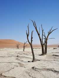 📍 Deadvlei