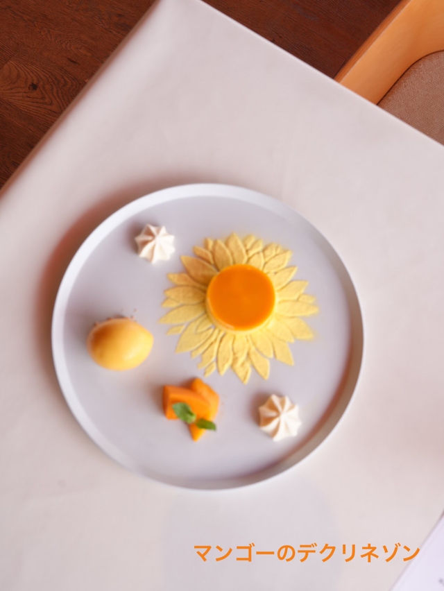 期間限定！5500円で食べれる映えるフルコース🌻絶対おすすめ🌻