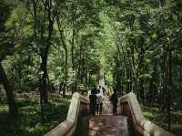 ชมปากปล่องภูเขาไฟ ที่เขากระโดง