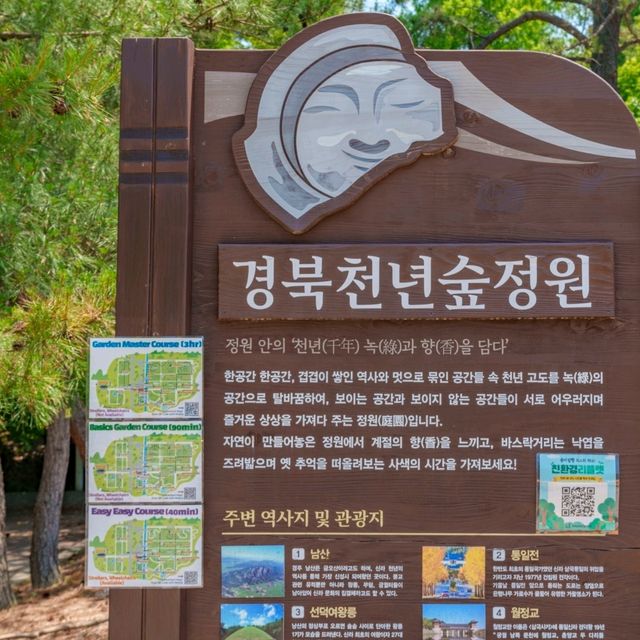 외나무다리와 시원한 숲길을 따라 산책해요.
