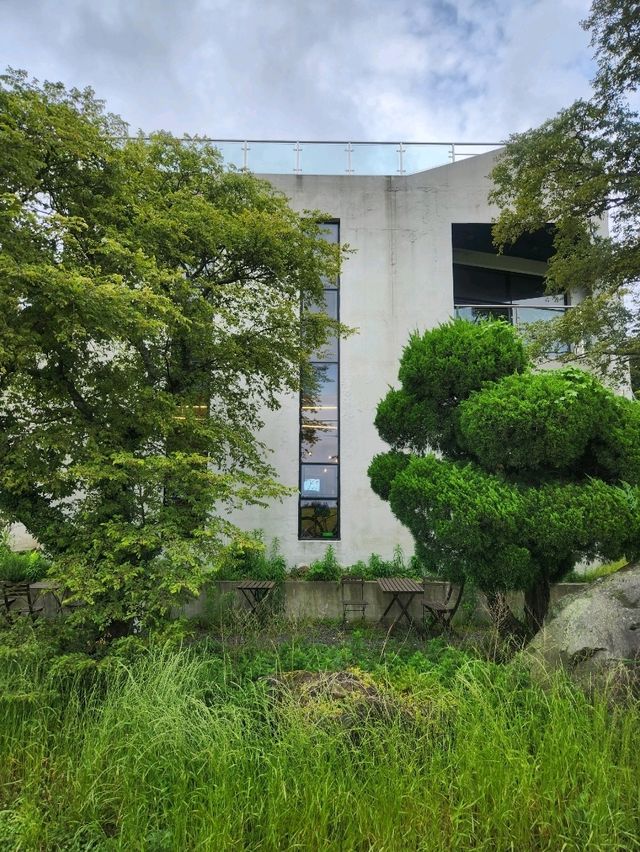 제주도 푸른감성 인터포레스트❤️