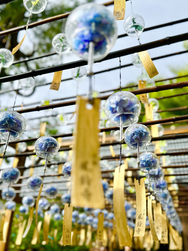 〜京都府綴喜郡〜 正寿院 6/1〜9/30まで！風鈴祭り開催中！🎐 2,000個の風鈴の音色、爽やか