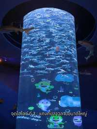 ท่องโลกใต้ทะเลที่ The Grand Aquarium Hong Kong 🐡