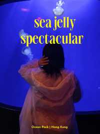 พาท่องอาณาจักรแมงกะพรุน ที่ sea jelly spectacular🪼