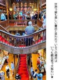 【ポルトガル】ハリーポッターの世界な本屋「レロ・イ・イルマオン」