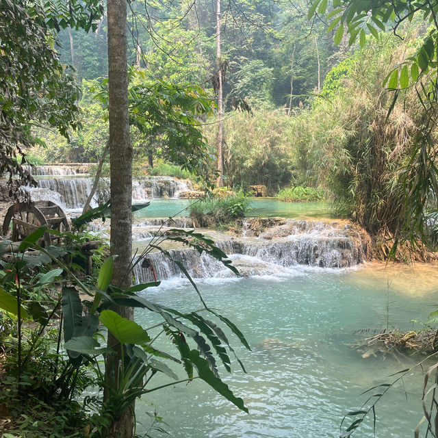 Visiting Luang Prabang: Experience the Beauty of Kuang Si Waterfall