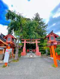 【遠野】かわいい御朱印がたくさん⛩遠野郷八幡宮