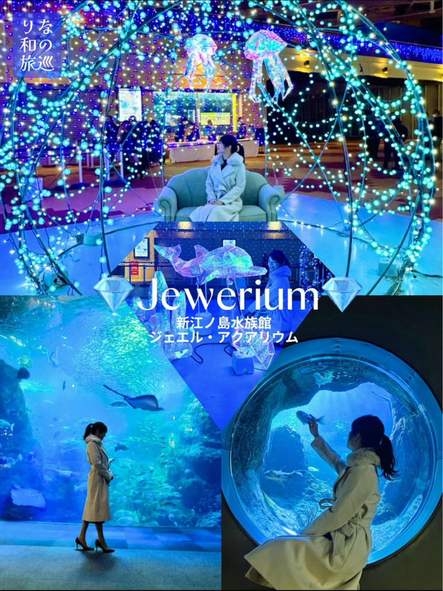 〜神奈川県〜幻想的的！江ノ島水族館！