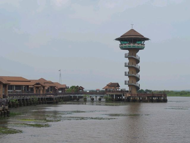 ศูนย์ศึกษาธรรมชาติและสัตว์ป่าทะเลน้อย จ.พัทลุง