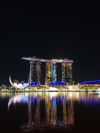 Singapore Night View Spot 'Merlion Park'