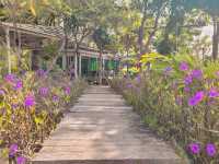 ที่พักบรรยากาศดีวิวทุ่งดอกไม้@ลพบุรี