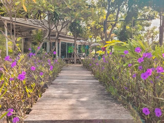ที่พักบรรยากาศดีวิวทุ่งดอกไม้@ลพบุรี