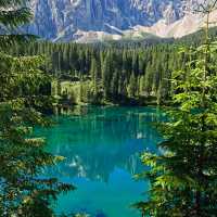 【湖畔寶藏】Wilcox Lake～放鬆身心、親近自然的絕佳去處