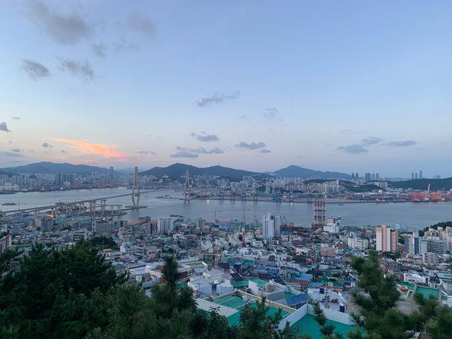 "부산 청학배수지에서 만나는 절경: 도시와 바다의 완벽한 조화"
