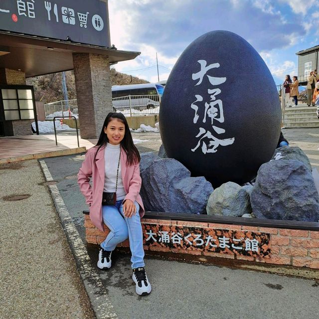 Tokyo Fuji Japan 