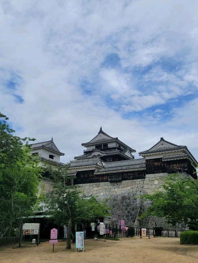 🏯마쓰야마 시내가 한눈에 보이는 마쓰야마 성🏯