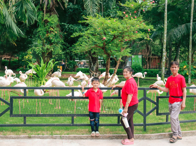 รีวิว สวนสัตว์เปิดเขาเขียว 🦏🐘🐅