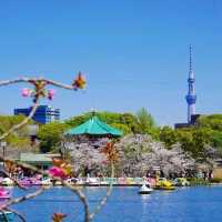 “도쿄의 심장, 우에노 공원에서의 산책” (Ueno Park)