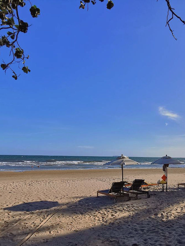 ที่พักว้าวมากๆ Centara Q Resort Rayong 