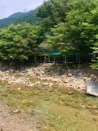 충북 괴산  🏞 물놀이하기 좋은 계곡 