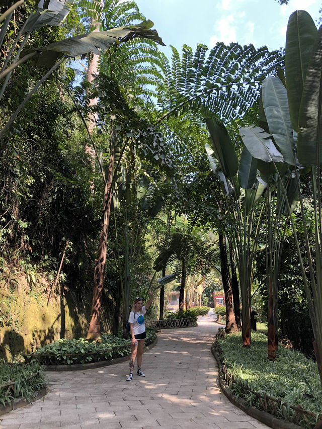 Did You Know There’s A Tropical Rainforest in China?! 🇨🇳🌴