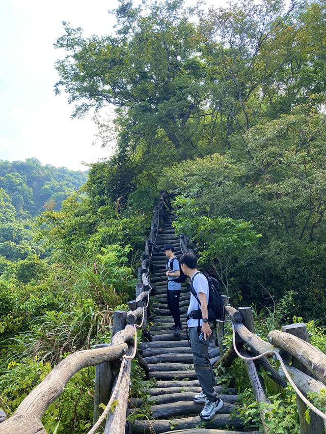 台中大坑2號步道-路線木頭製造的小型萬里長城山